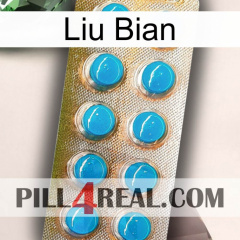 Liu Bian new09